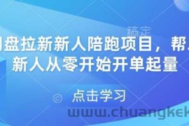 网盘拉新新人陪跑项目，帮助新人从零开始开单起量