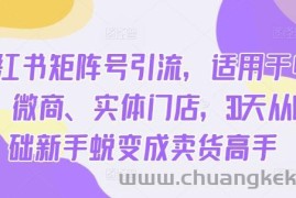 小红书矩阵号引流，适用于电商、微商、实体门店，30天从0基础新手蜕变成卖货高手