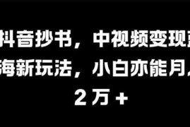 抖音抄书，中视频变现蓝海新玩法，小白亦能月入 过W【揭秘】