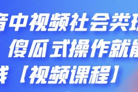 （2180期）抖音中视频社会类玩法，傻瓜式操作就能赚钱【视频课程】