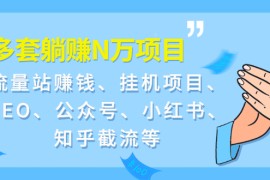 （1958期）9套躺赚N万项目：流量站赚钱、挂机项目、SEO、公众号、小红书、知乎截流等