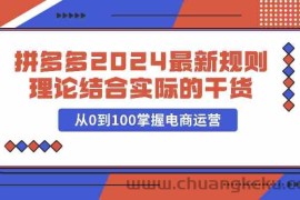 拼多多2024最新规则理论结合实际的干货，从0到100掌握电商运营