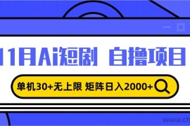 （13375期）11月ai短剧自撸，单机30+无上限，矩阵日入2000+，小白轻松上手