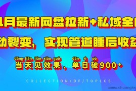 11月最新网盘拉新+私域全自动裂变，实现管道睡后收益，当天见效果，单日破900+