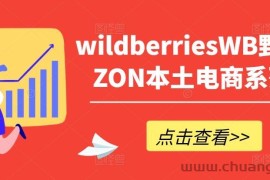 wildberriesWB野莓/OZON本土电商系列课，掌握WB产品优化，出单技巧和订单处理等