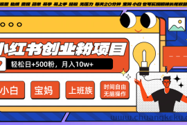 小红书创业粉日+500，月入10W+，无脑操作，每天20分钟