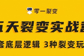 （1450期）《5天裂变实战训练营》1套底层逻辑+3种裂变玩法，2020下半年微信裂变玩法