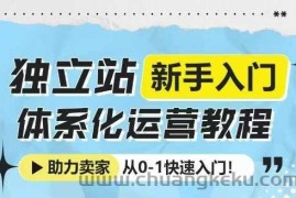 独立站新手入门体系化运营教程，助力独立站卖家从0-1快速入门!