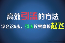 高效引流的方法，可以帮助你日引300+创业粉，一年轻松收入30万，比打工强太多！