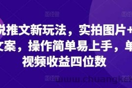 小说推文新玩法，实拍图片+小说文案，操作简单易上手，单条视频收益四位数