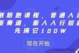 短剧陪跑课程，普通人逆袭的新赛道，新人入行短剧，先搞它100W