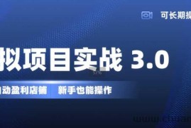 虚拟项目实战3.0，打造自动盈利店铺，可长期操作投入低，新手也能操作