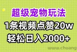 （13578期）超级宠物视频玩法，1条视频点赞20w，轻松日入2000+