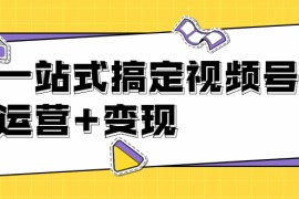 （1703期）秋叶大叔4门课一站式搞定视频号运营+变现【无水印】【完结】