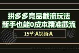 拼多多竞品截流玩法，新手也能0成本精准截流（15节课）