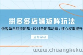 （12720期）拼多多店铺矩阵玩法：低客单自然流矩阵 / 轻付费矩阵 动销 / 核心权重提升