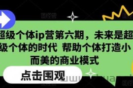 超级个体ip营第六期，未来是超级个体的时代  帮助个体打造小而美的商业模式