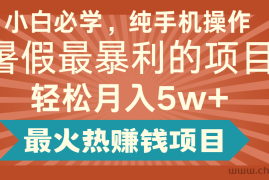 2024暑假最赚钱的项目，小红书咸鱼暴力引流简单无脑操作，每单利润最少500+