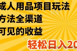 最新成人用品项目玩法，方式方法全渠道，肉眼可见的收益，轻松日入2000+