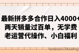 （12869期）拼多多最新合作日入4000+两天销量过百单，无学费、老运营代操作、小白福利