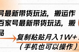 （13580期）百家号最新带货玩法，搬运作品，复制粘贴月入1W+！（手机也可以操作）