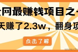 （13674期）小白必学项目，纯手机简单操作收益非常高!年前翻身！