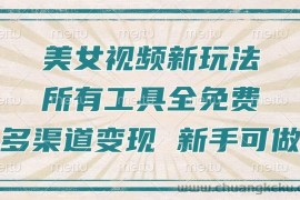 （13541期）一张图片制作美女跳舞视频，暴力起号，多渠道变现，所有工具全免费，新…