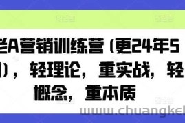 老A营销训练营(更24年12月)，轻理论，重实战，轻概念，重本质