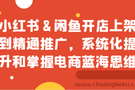 小红书&amp;闲鱼开店上架到精通推广，系统化提升和掌握电商蓝海思维