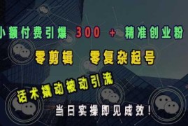 小额付费引爆 300 + 精准创业粉，零剪辑、零复杂起号，话术撬动被动引流，当日实操即见成效