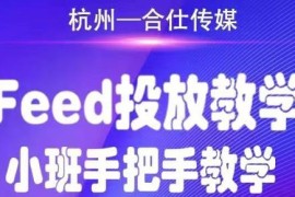 （1749期）合仕传媒Feed投放教学，手把手教学，开车烧钱必须自己会！