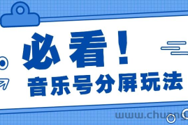 音乐号分屏玩法，疯狂涨粉，多种拓展变现方式月收入过万【视频教程】