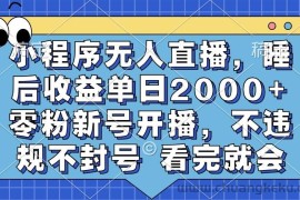 （13251期）小程序无人直播，睡后收益单日2000+ 零粉新号开播，不违规不封号 看完就会