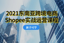 （1951期）2021东南亚跨境电商Shopee实战运营课程，0基础、0经验、0投资的副业项目