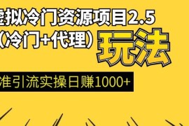 （1185期）虚拟冷门资源项目2.5（冷门&amp;代理玩法） 精准引流实操日赚1000+(更新中)