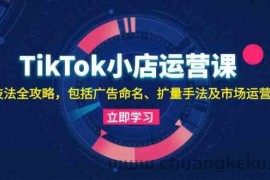 TikTok小店运营课：投流技法全攻略，包括广告命名 扩量手法及市场运营方法