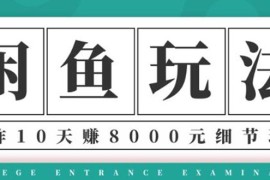 （1375期）龟课·闲鱼项目玩法实战班第12期，操作10天左右利润有8000元细节玩法