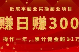 （1082期）低成本副业实操副业项目：网赚日赚300元，操作一年，累计佣金超11万