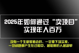 （13468期）2025年如何通过“卖项目”实现年入百万，做网赚必看！！