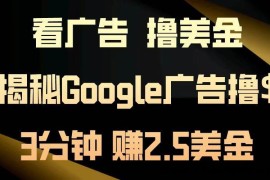 （13114期）看广告，撸美金！3分钟赚2.5美金！日入200美金不是梦！揭秘Google广告…