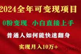 新玩法快手 视频号，两个月收益12.5万，机会不多，抓住