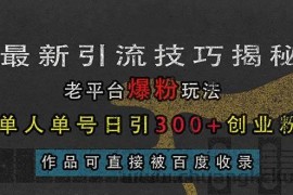 （13445期）最新引流技巧揭秘，老平台爆粉玩法，单人单号日引300+创业粉，作品可直…