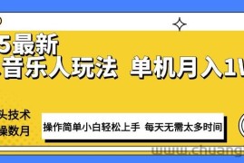 （13977期）最新汽水音乐人计划操作稳定月入1W+ 技术源头稳定实操数月小白轻松上手