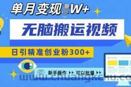 无脑搬运视频号可批量复制，新手即可操作，日引精准创业粉300+，月变现过W 【揭秘】