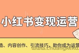 小红书变现运营，IP打造、内容创作、引流技巧，助你成为运营高手