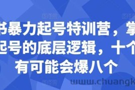 小红书暴力起号特训营，掌握小红书起号的底层逻辑，十个帖真有可能会爆八个