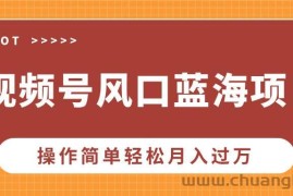 （13945期）视频号风口蓝海项目，中老年人的流量密码，操作简单轻松月入过万