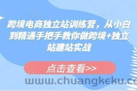 跨境电商独立站训练营，从小白到精通手把手教你做跨境+独立站建站实战