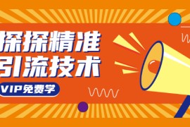 （1541期）探探精准引流技术：探探上模拟器+探探做号方法+模拟器话术+视频演示