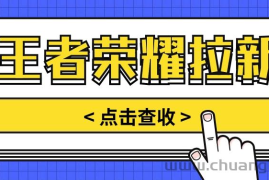 通过王者荣耀残局挑战拉新项目，8元/单。推广渠道多样，操作简单。